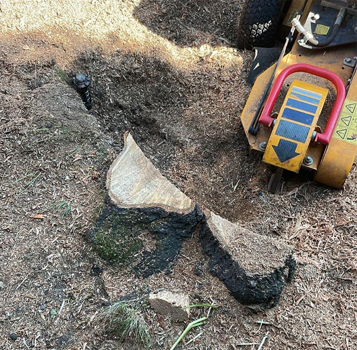 Stump grinding top down view