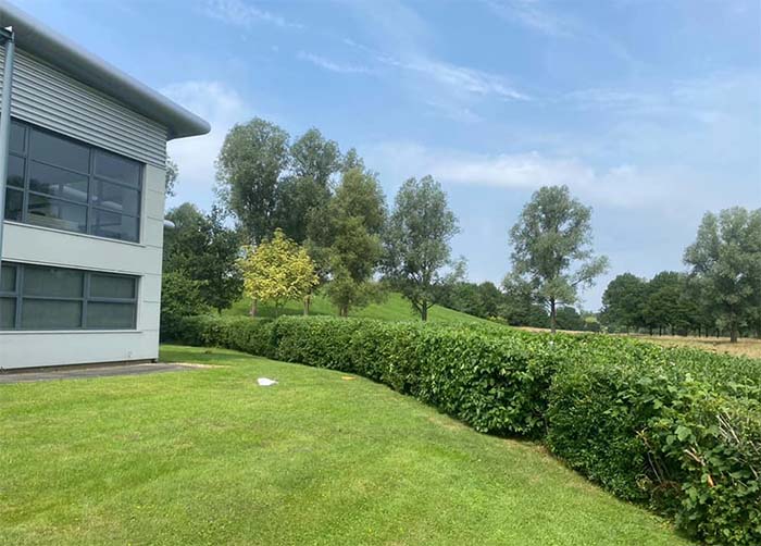 Grounds of a business