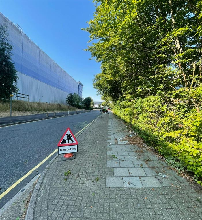 Tree cutting sign on a path