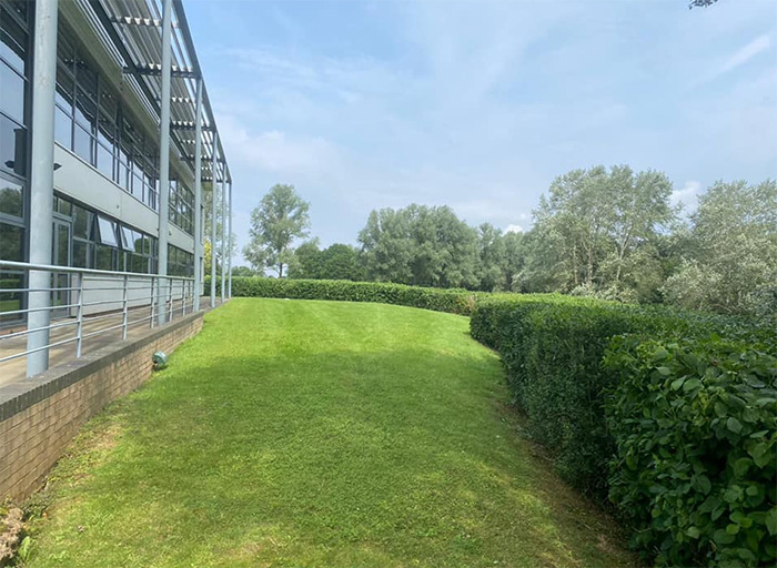 Grounds of a business