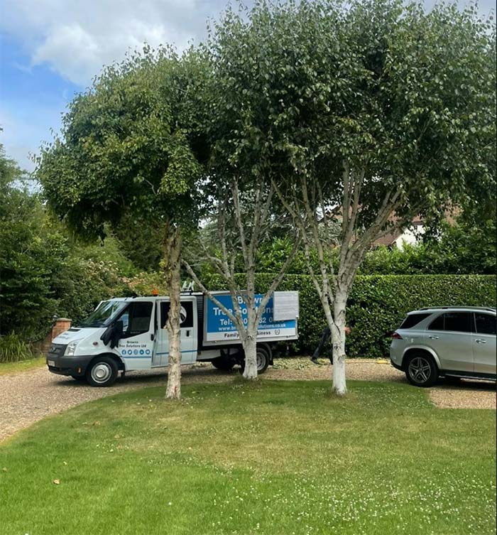 Van parked by trees