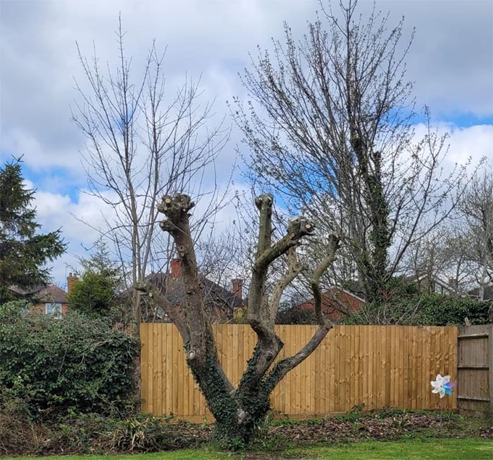 An example of tree reduction