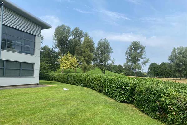 Grounds Maintenance Tree Cutting Sign on pavement