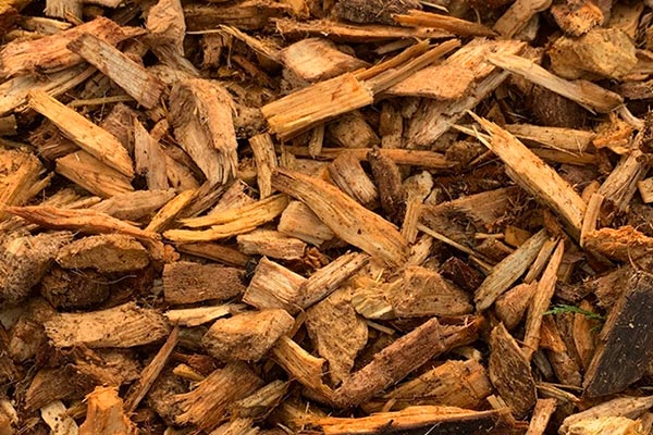 Planting & Aftercare With Browns Tree Solutions